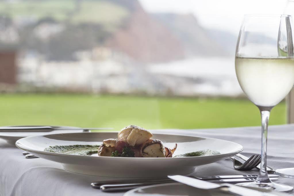 Harbour & Sidmouth